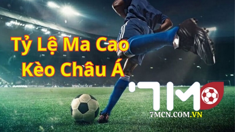 tỷ lệ ma cao