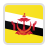 Brunei Logo